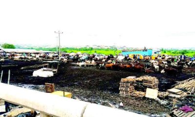 Ogun orders Kara market traders to relocate before December 31