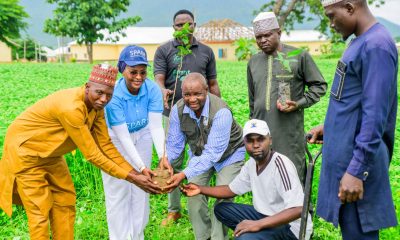 FirstBank, NCF extend tree planting campaign to FCT, targets 50,000 trees