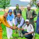 FirstBank, NCF extend tree planting campaign to FCT, targets 50,000 trees