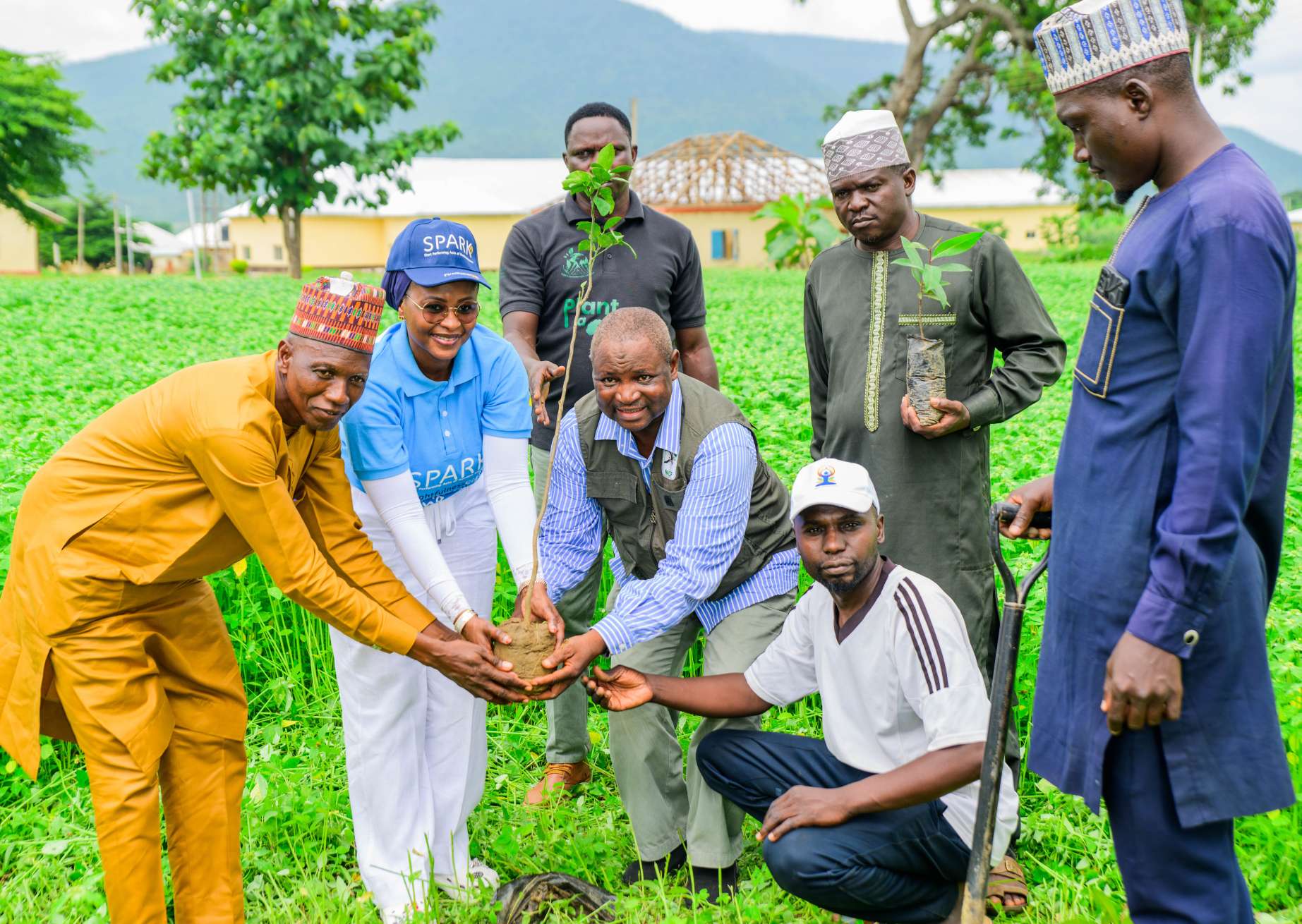 FirstBank, NCF extend tree planting campaign to FCT, targets 50,000 trees