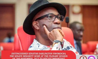 Sen Nwokocha emerges Labour Party Caretaker Secretary