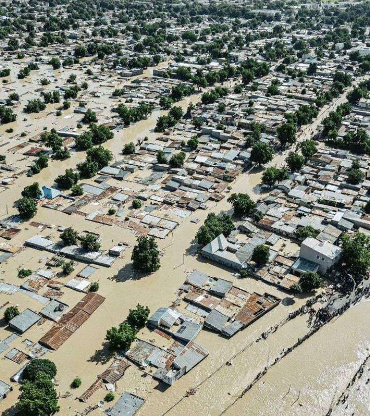 Flood ravages Maiduguri 