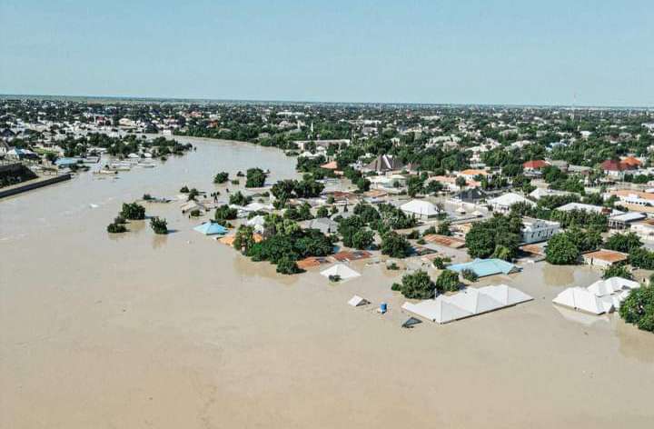 UN donates $6m to support Borno flood victims