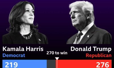 US election: Why Kamala Harris lost to Donald Trump