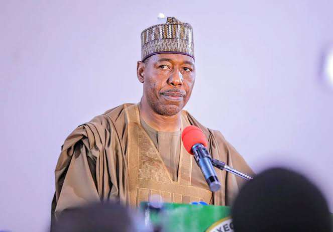 Minister refutes claims of downplaying Borno Governor’s Boko Haram concerns