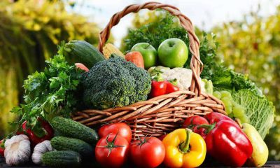 Don highlights benefits of consuming vegetables