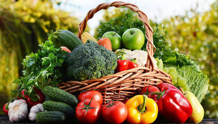 Don highlights benefits of consuming vegetables