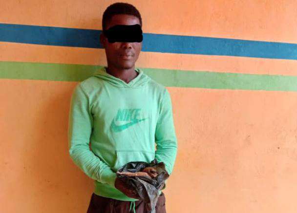 Ogun man arrested for allegedly poisoning cows