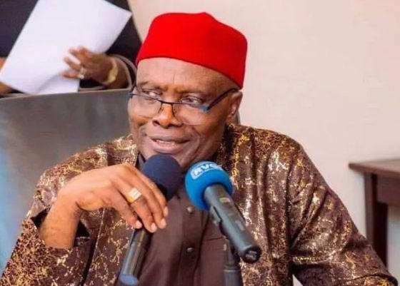 Wabara blames internal sabotage for PDP crisis, vows Ibadan convention will proceed