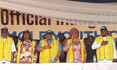 Gov Adeleke inaugurates 10,000 member Imole Youth Corps