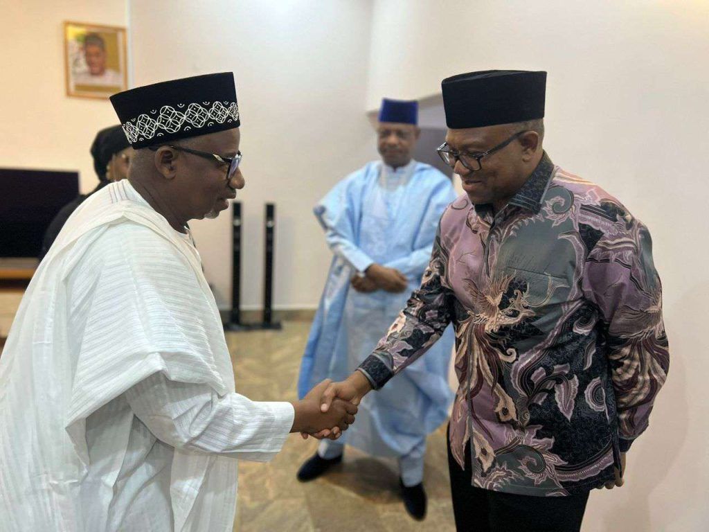 2027: Peter Obi, Bala Mohammed meet behind closed doors in Bauchi 