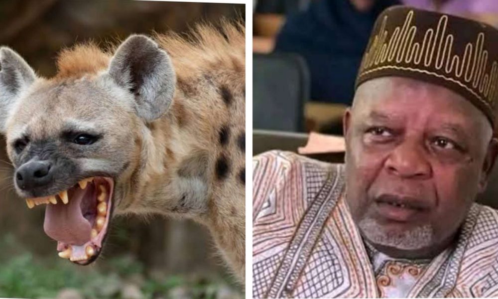 Hyenas nearly ate me in kidnappers’ den – Ex-NYSC DG