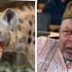 Hyenas nearly ate me in kidnappers’ den – Ex-NYSC DG
