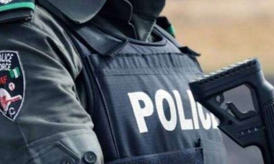 Debate deepens over state police as Tinubu pushes ahead, critics warn of political abuse