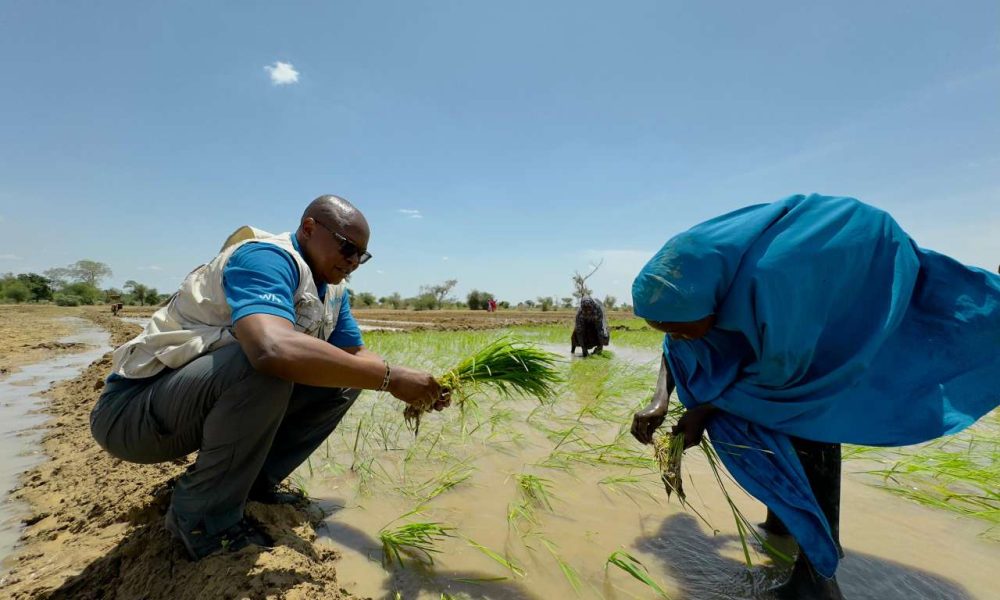 Germany backs second phase of UNICEF-WFP resilience programme in Northeast Nigeria with €20m support