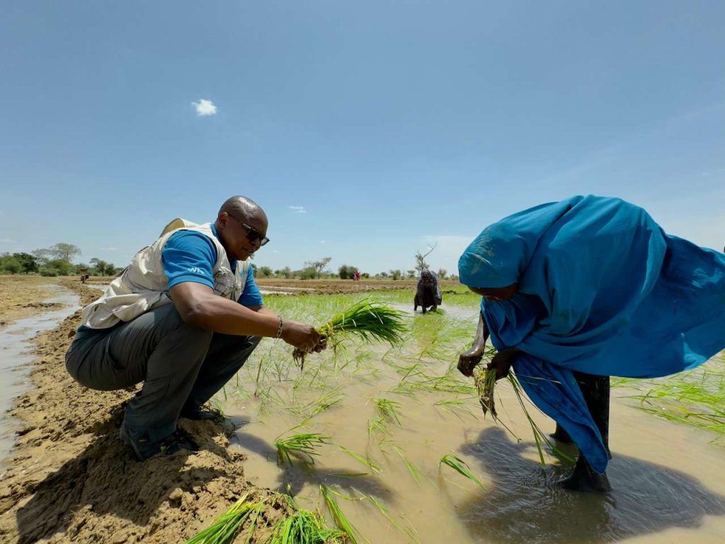 Germany backs second phase of UNICEF-WFP resilience programme in Northeast Nigeria with €20m support
