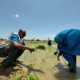 Germany backs second phase of UNICEF-WFP resilience programme in Northeast Nigeria with €20m support