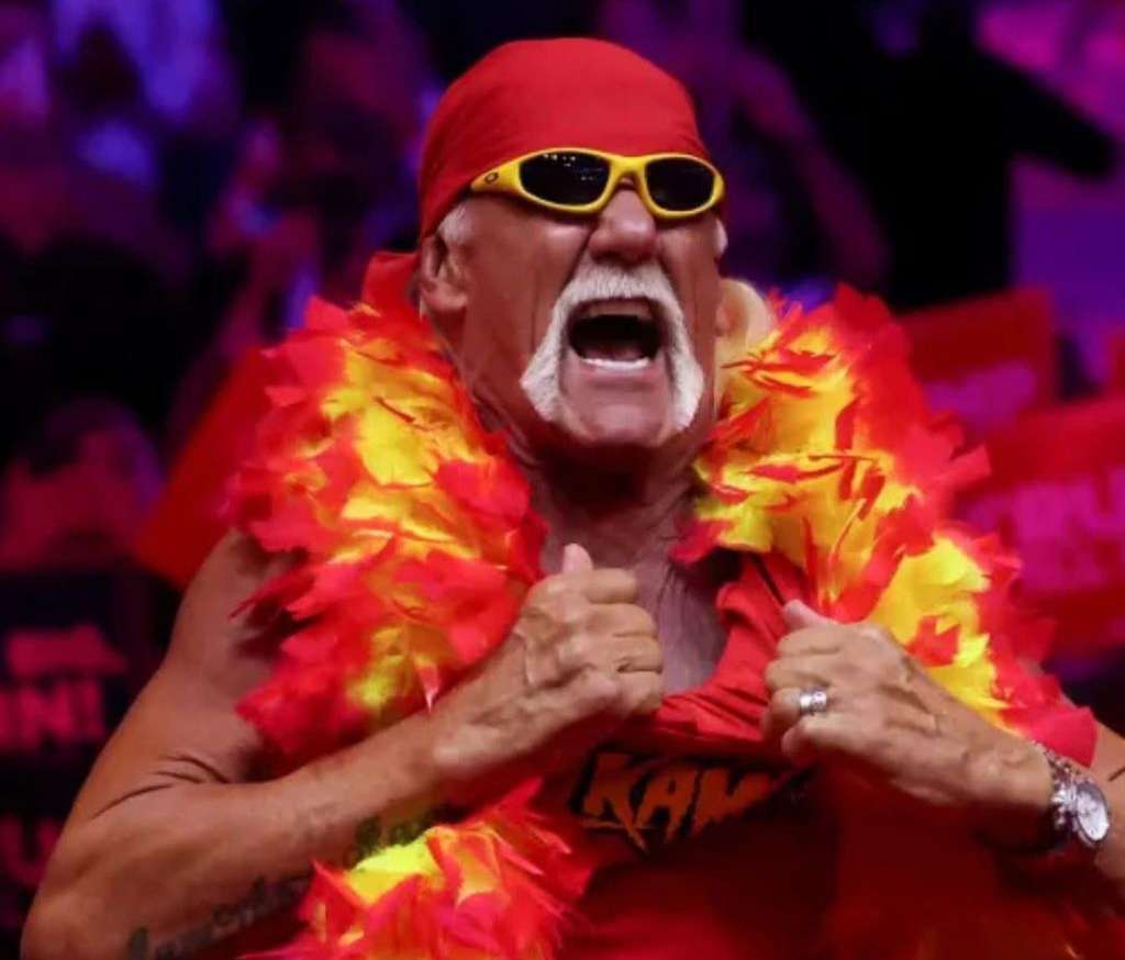 Hulk Hogan, Wrestling Icon, Dies at 71
