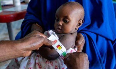 Emergency food aid to halt in Nigeria as insecurity, hunger surge