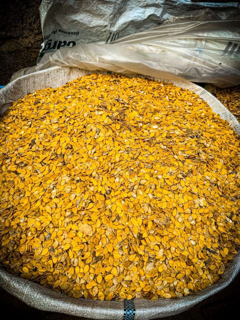 Nigeria’s Egusi Seed Heads to Space in Historic ISS Mission