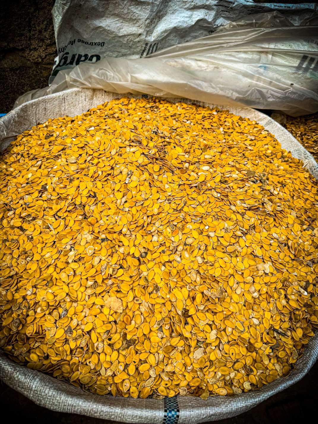Nigeria’s Egusi Seed Heads to Space in Historic ISS Mission