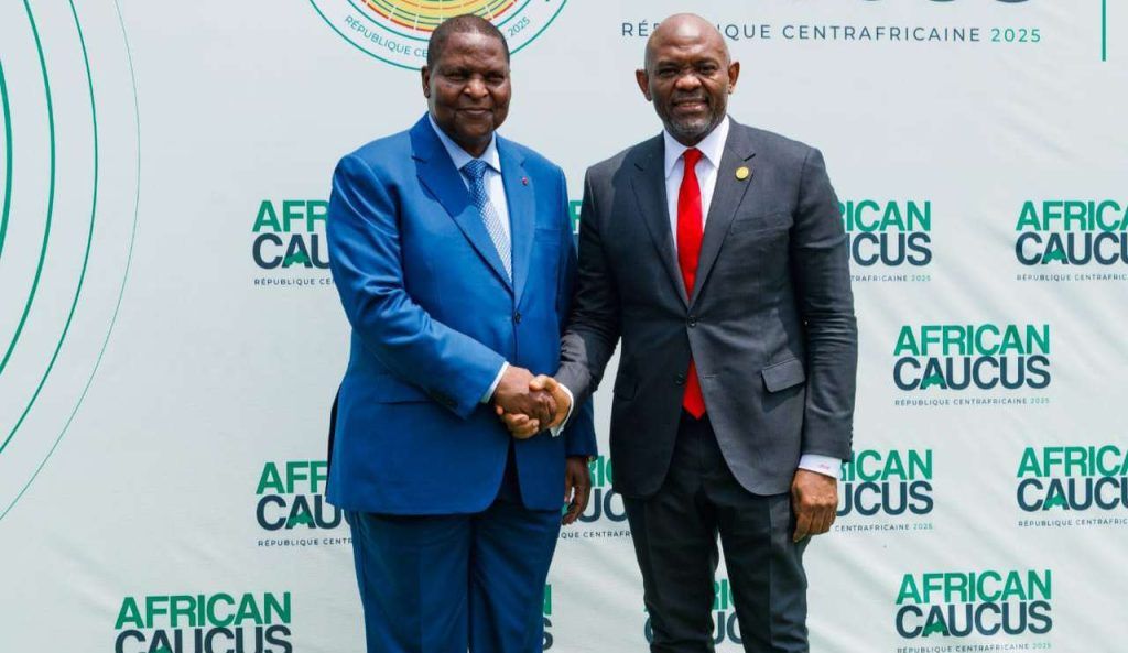 Elumelu to Global Leaders: Africa Must Lead Its Own Development