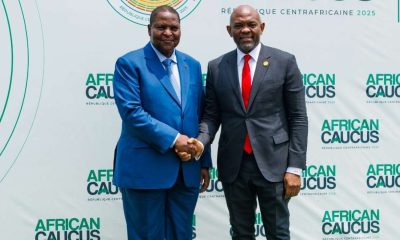 Elumelu to Global Leaders: Africa Must Lead Its Own Development