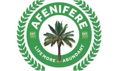 Afenifere, others advocate rotational presidency to avert one-party state