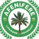 Afenifere, others advocate rotational presidency to avert one-party state