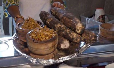Mbaise New Yam Festival Redefines Imo Culture