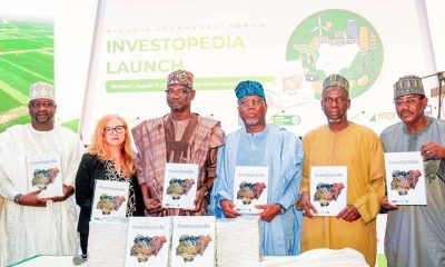 Experts doubt governors’ new NGF Investopedia will Lift Nigeria’s weak $2bn FDI inflow