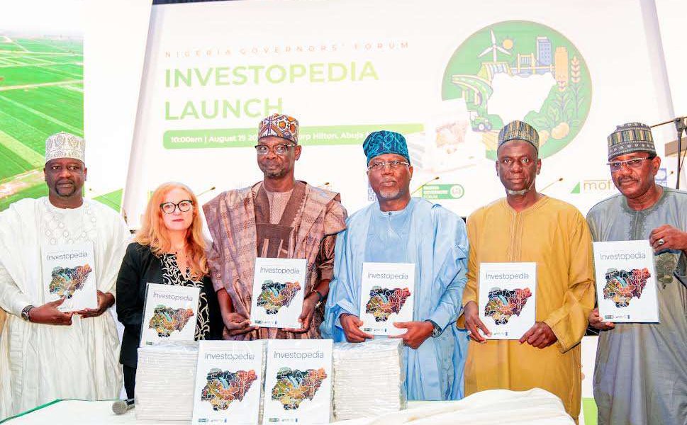 Experts doubt governors’ new NGF Investopedia will Lift Nigeria’s weak $2bn FDI inflow
