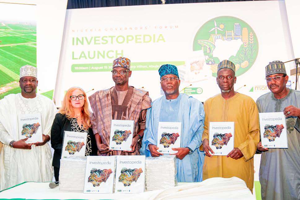 Experts doubt governors’ new NGF Investopedia will Lift Nigeria’s weak $2bn FDI inflow