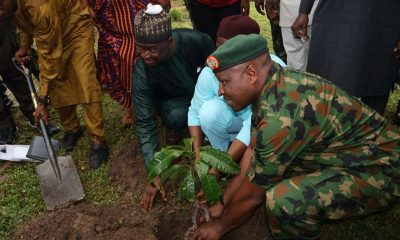 Julius Berger partners FRIN, NCF to plant 20,000 trees at Abuja Army Cantonment