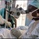 500 cataract patients regain sight after free surgeries in Kano