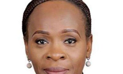 International Breweries Plc appoints Toyin Adeniji as Non-Executive Director