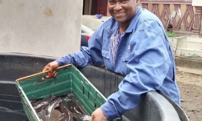 Cameroon scales up aquaculture with AfDB-funded catfish initiative