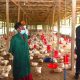 Ogun govt, World Bank inspect ongoing construction of 100,000-broiler facility in Odeda
