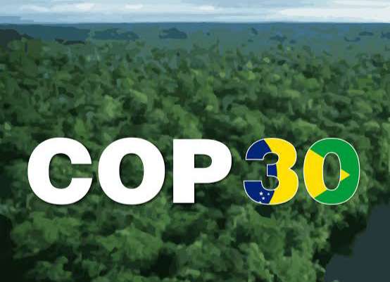 MDBs deliver record $137bn climate finance in 2024, set bigger targets for COP30 in Brazil