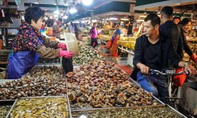 China slowdown worsens as August data miss forecasts, real estate slump deepens