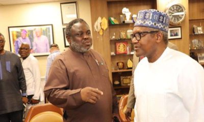 Niger Food, Dangote, Africa Rice partnership to create 500,000 jobs in Nigeria – Adigun