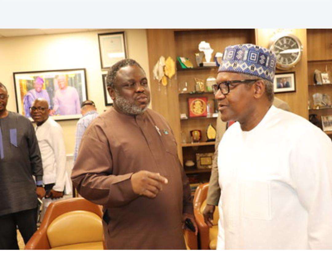Niger Food, Dangote, Africa Rice partnership to create 500,000 jobs in Nigeria – Adigun