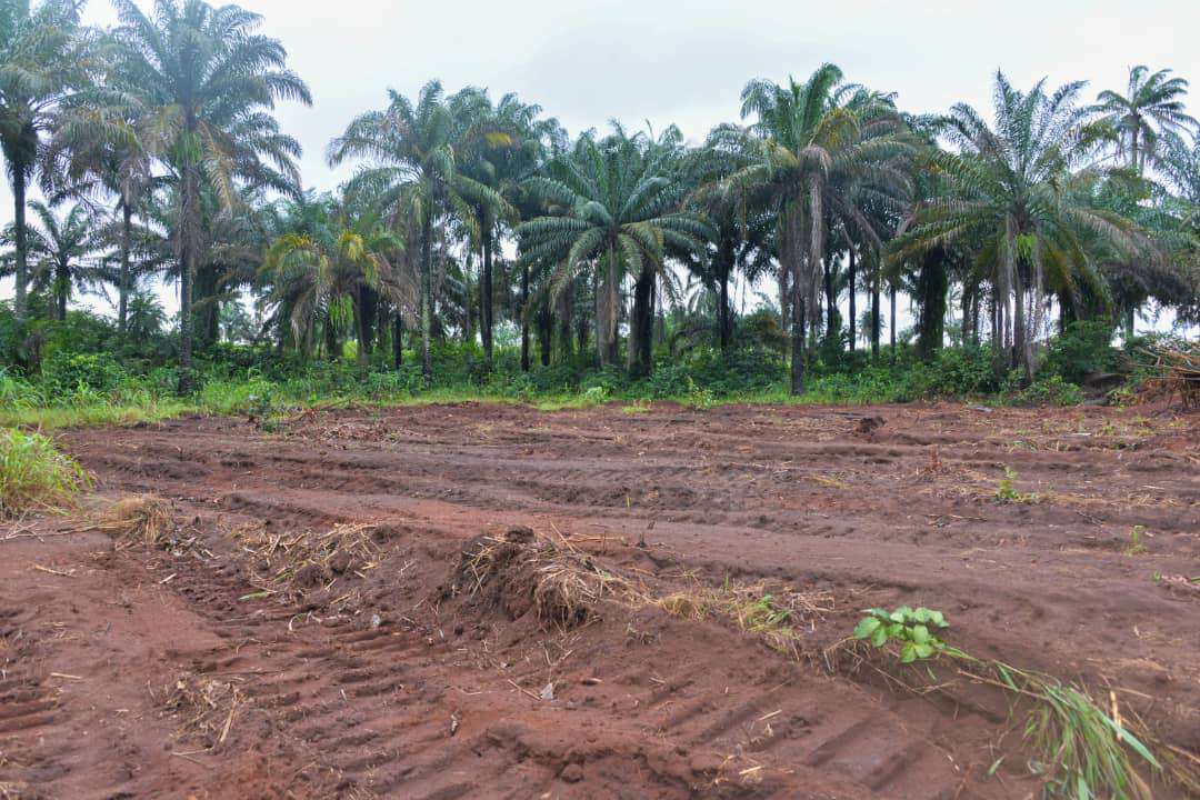 Abia govt compensates 3,500 landowners for airport project, assures others of payment