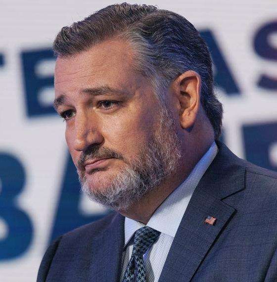 US senator Ted Cruz faults Nigeria's lobbying campaign over insecurity concerns