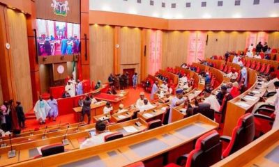 Senate Suspends Debate on New Electoral Act Amid Fears of Deliberate Delay