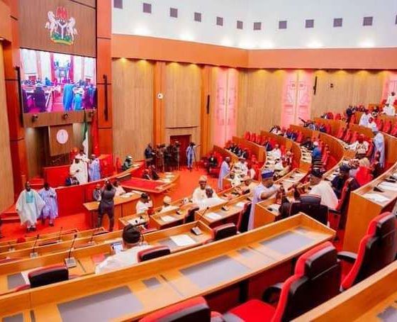 Senate rejects arrest warrant issued against Mele Kyari, faults committee's procedure