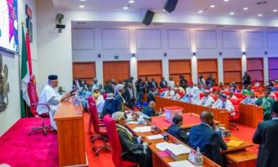 Senate raises alarm over rising insecurity, demands recruitment of 100,000 soldiers 
