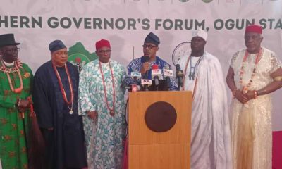 Southern govs, traditional rulers back state police, zonal security structures, reaffirm support for Tinubu