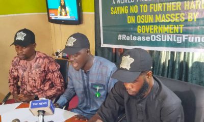 Group Gives Tinubu 3-Day Ultimatum to Intervene in Osun LG Crisis