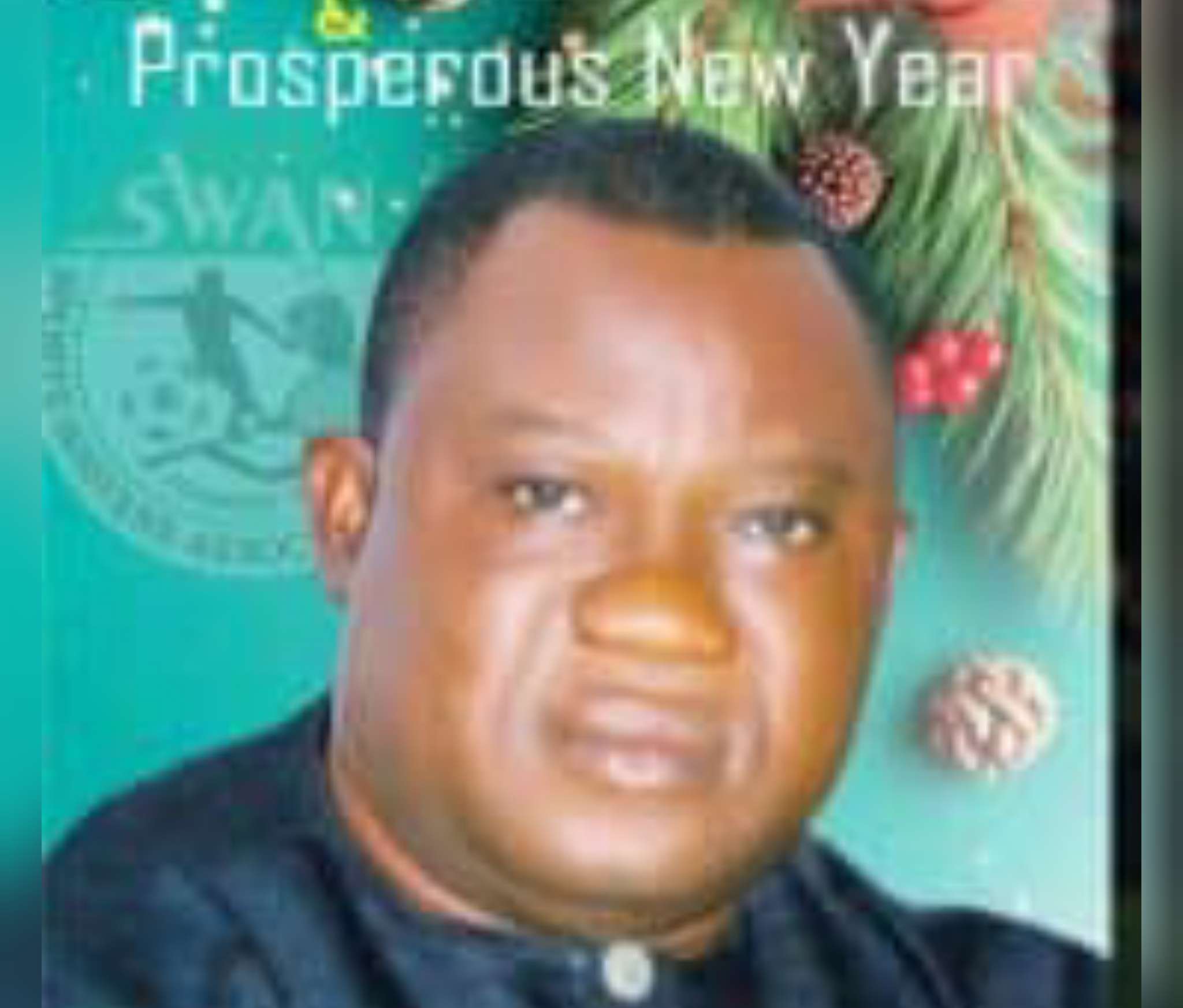 NBB vice chairman Arowolo commends Tinubu, Adelabu over reforms